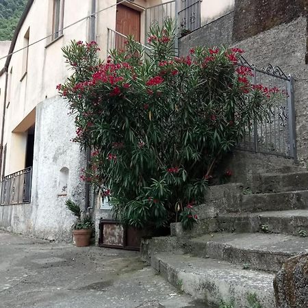 L'Oleandro Lägenhet Maratea Exteriör bild