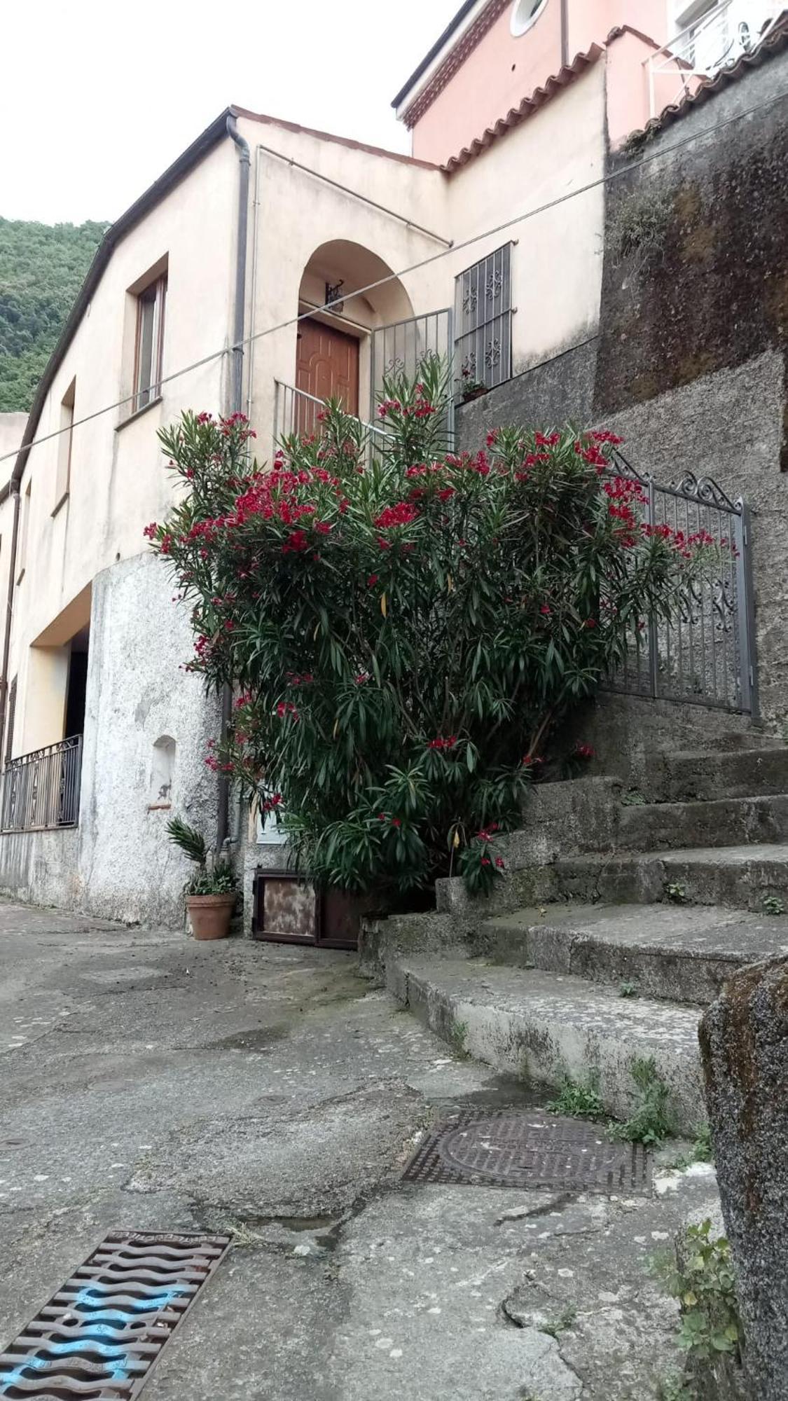 L'Oleandro Lägenhet Maratea Exteriör bild